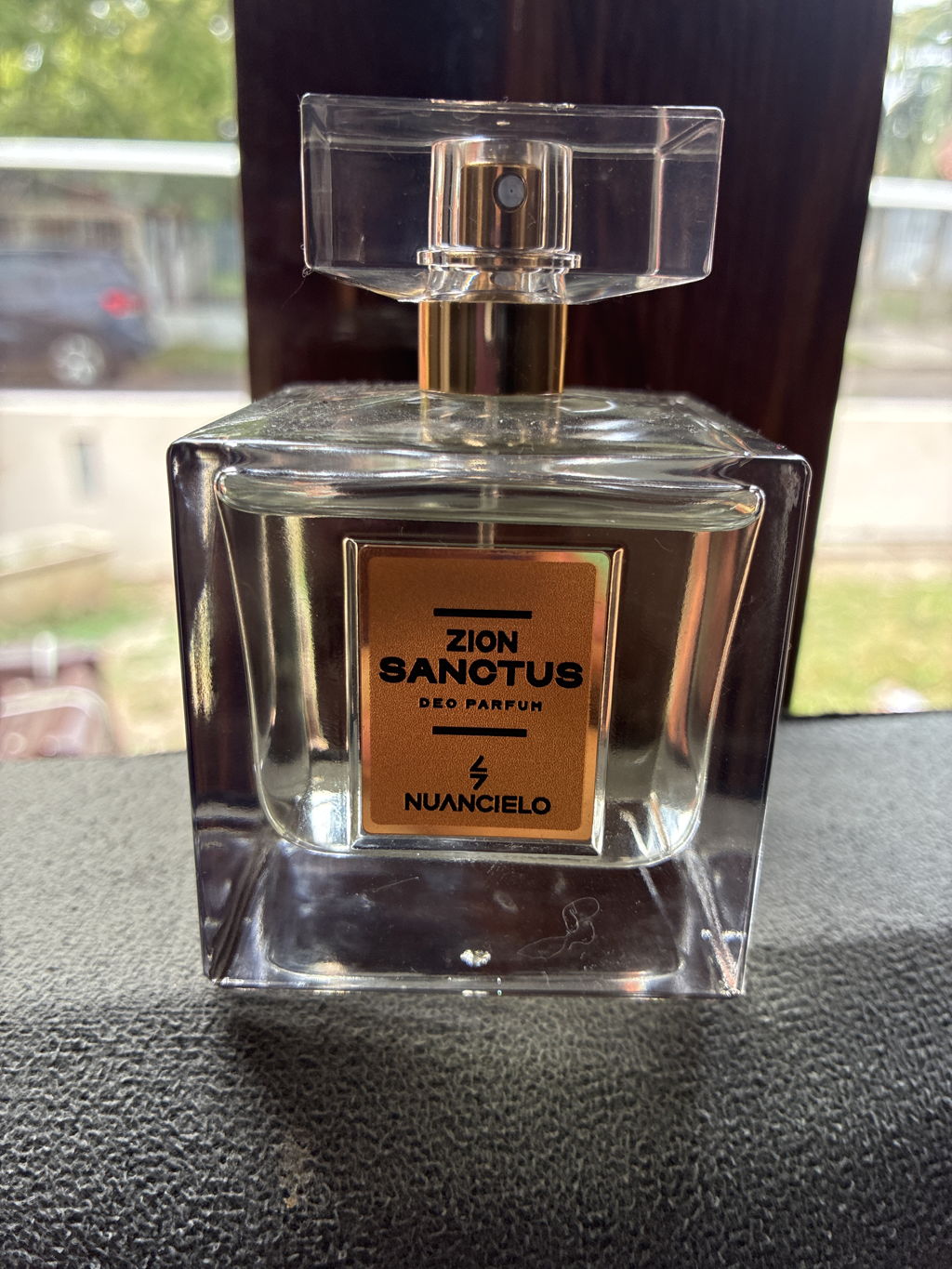 ZION SANCTUS | Nuancielo