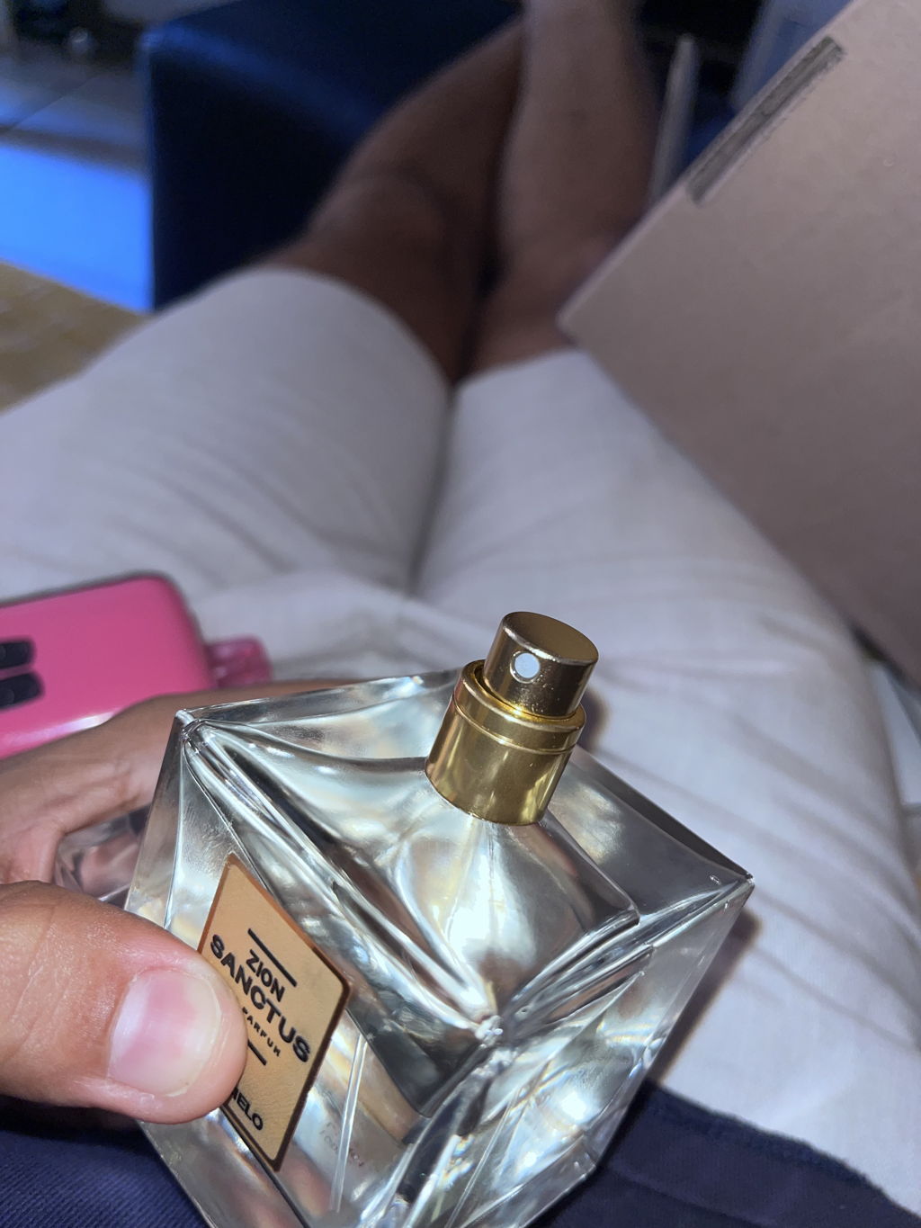 ZION SANCTUS | Nuancielo