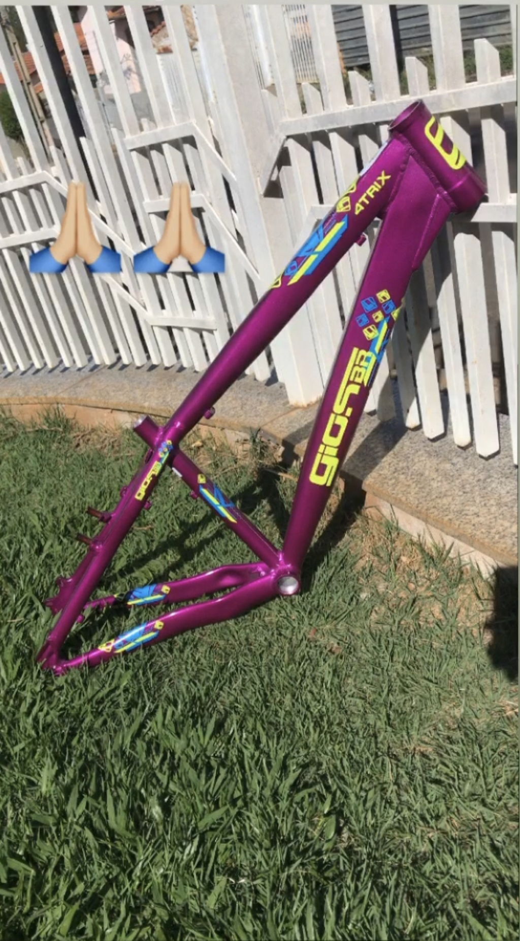 Quadro gios roxo Clearance